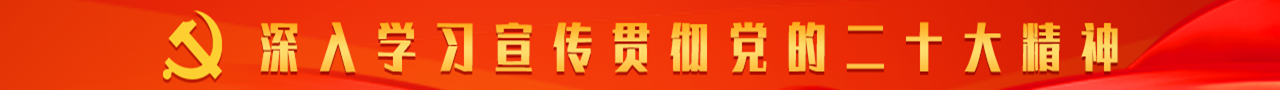 深入學(xué)習(xí)宣傳貫徹黨的二十大精神